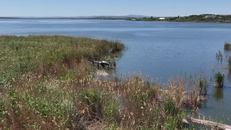Gölbaşı Belediyesi vektörler karşısında drone ile temizleme çalışması yaptı