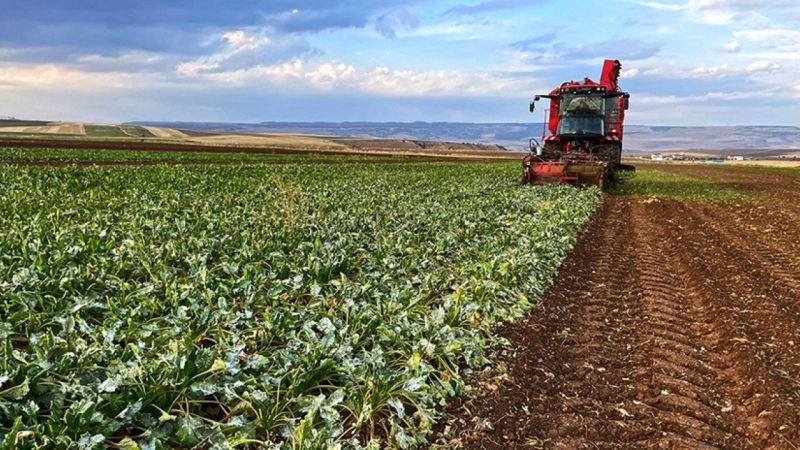 Çiftçilere 9 milyar destek ödemesi bugün hesaplara yatırılıyor!