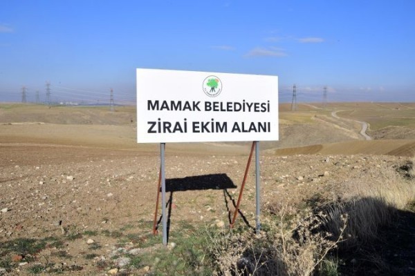  Mamak Belediyesi, çiftçilere destek için tohum yetiştiriciliğine başlıyor!