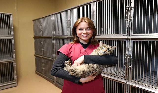 Buca’da 599 Sokak Hayvanı Sahiplendirildi!