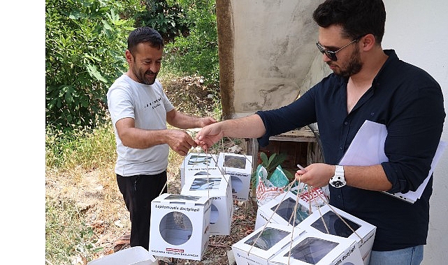 Antalya'da Biyolojik Mücadele ile Tarımda Devrim!