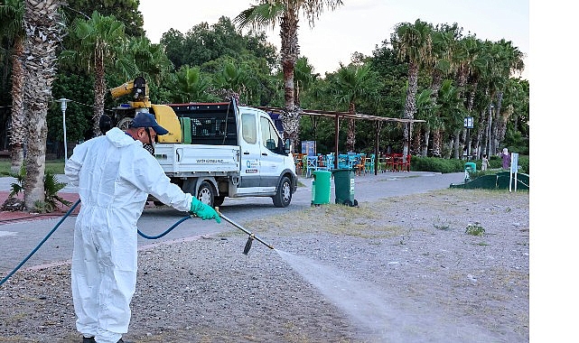 Antalya'da Haşere İlaçlama Çalışmaları Devam Ediyor