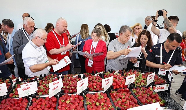 Menemen'de 16. Uluslararası Çilek Festivali Coşkulu Geçti!