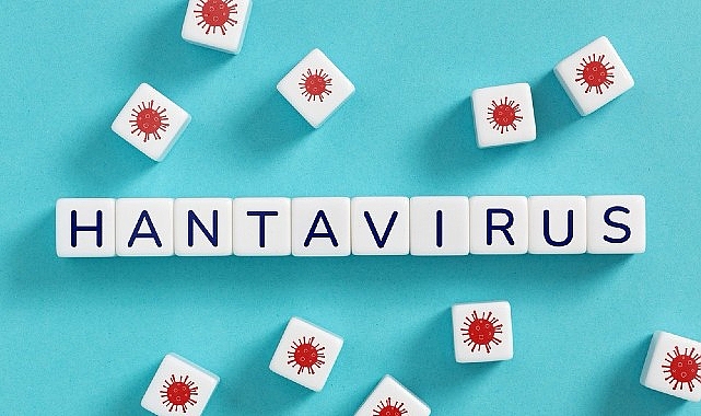 Hantavirüs Riski ve Korunma Yöntemleri Açıklandı