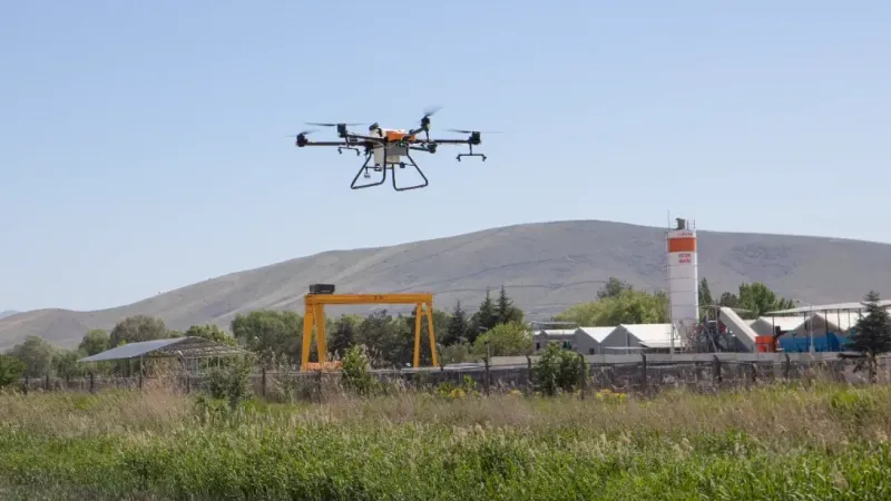 Sincan dronlar ile köşe bucak ilaçlanıyor