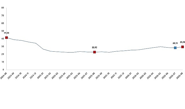 İnşaat Maliyetleri Yükselişte: %29,59 Artış!