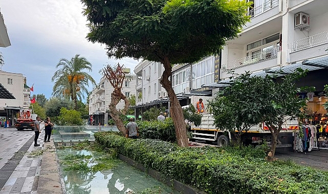 Antalya'da Kemer Liman Caddesi Temizlendi!