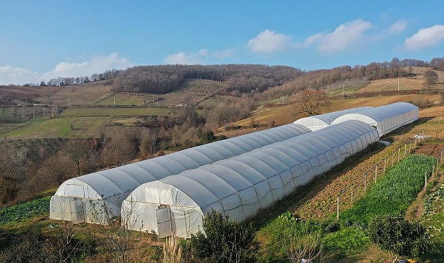 Kocaeli'de Tarımda Yeni Dönem: 98 Proje Hayata Geçti!