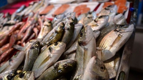 CarrefourSA marketlerinde okkalı balık indirimi başladı: Fiyatlar yüzde 30 birden düştü! Hafızayı güçlendirmek isteyen sakın kaçırmasın!
