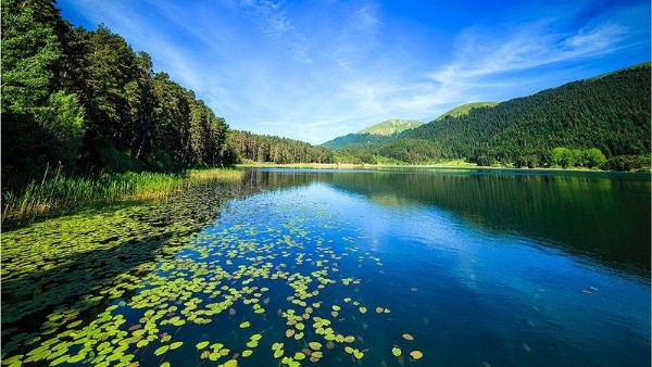  Bolu Abant Ankara’ya Sadece İki Saat Uzaklıkta! Abant’a Gidip Görmediğiniz Bu Saklı Yere Bayılacaksınız! Manzarası ve Su Sesiyle Huzur Bulacaksınız!