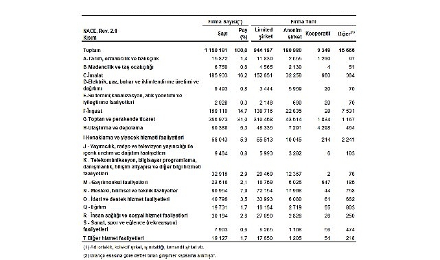 2025: En Çok Firma Toptan ve Perakende Ticarette