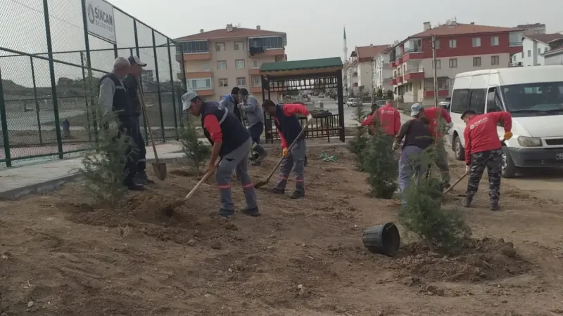 Sincan'da yaz aylarının vazgeçilmezi parklarda bakım çalışmaları devam ediyor