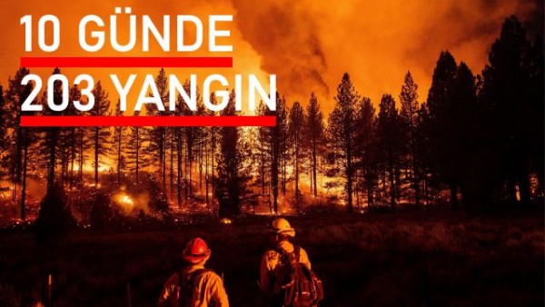  Son 10 Gün İçerisinde 200 den Fazla Yangın Meydana Geldi