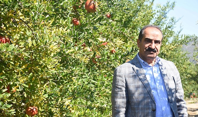  Türkiye'nin 10 aylık nar ihracatı 100 milyon doları aştı